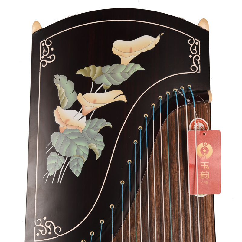 オランダカイウユリ標準古筝