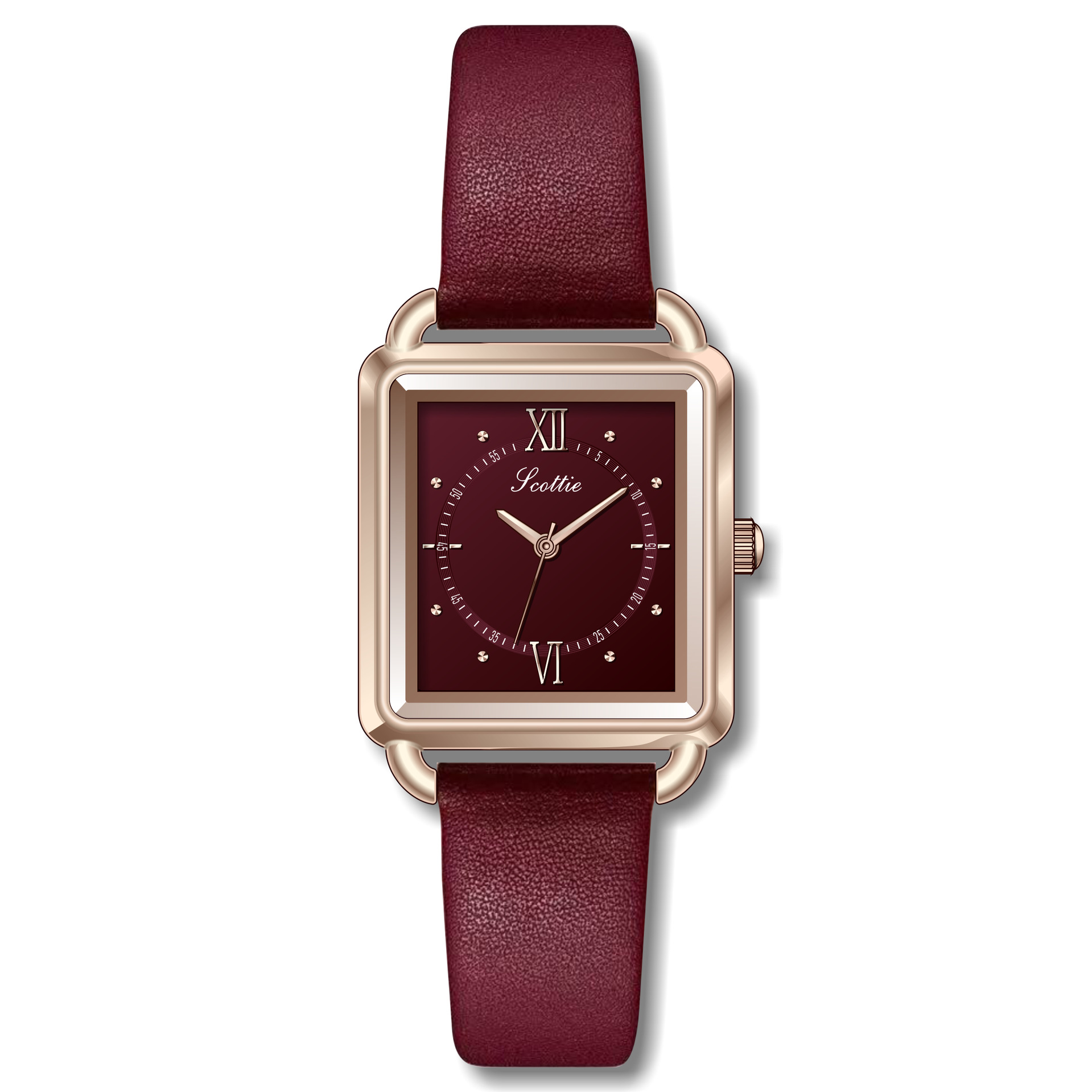 バラの金の殻の赤い帯