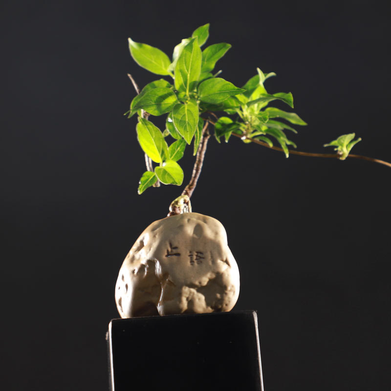 寂風止語字小花器