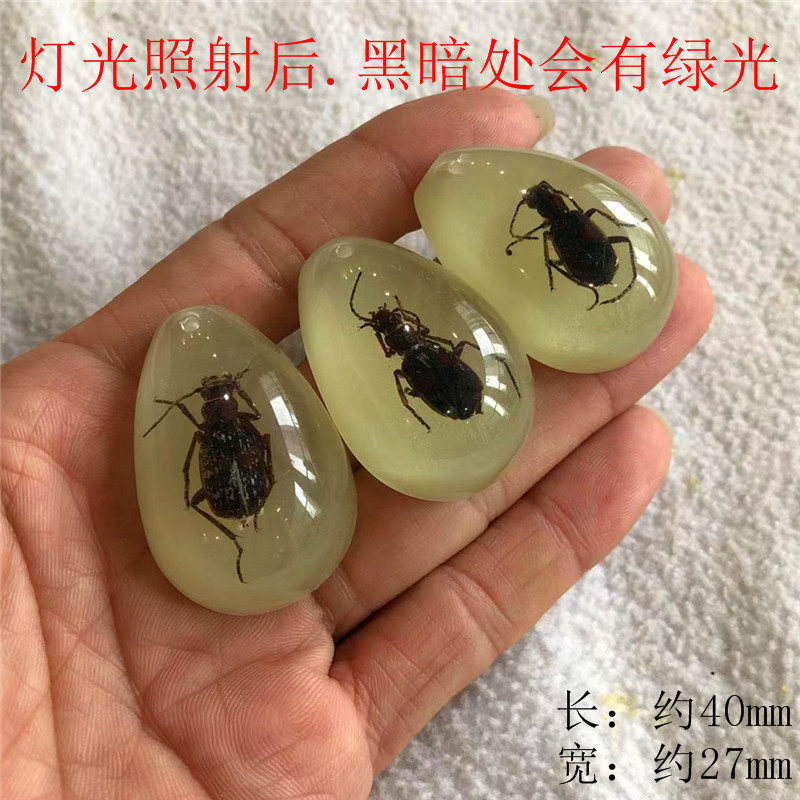 蓄光マダラアーバ 6