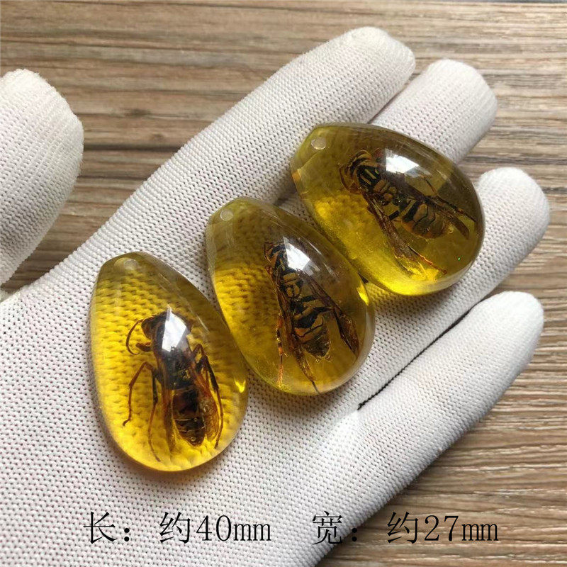 大きなスズメバチ