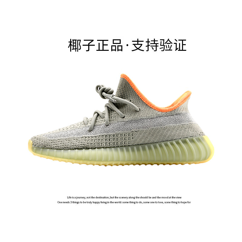 人気の草 銀河 グレー オレンジ カスミソウ〖公式正規品—サポート検証〗