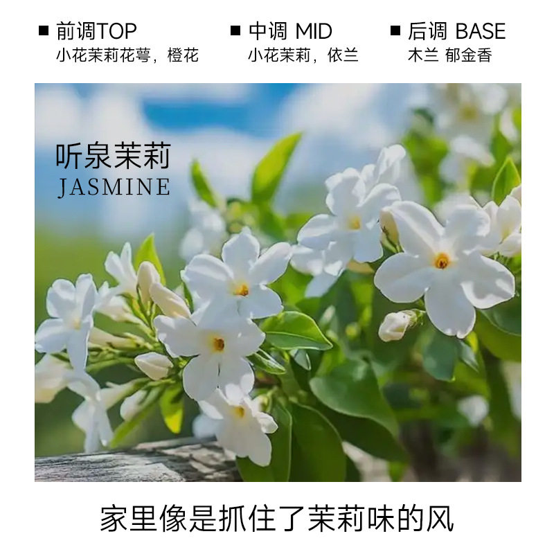 ティンクアンジャスミン