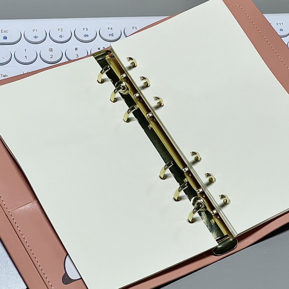 付属ページ60枚1本