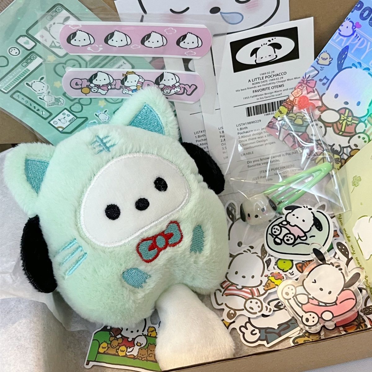 パチャドッグ レギュラーセット(11個入) 飛行機ボックス