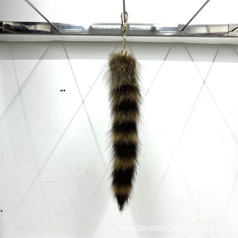 アメリカンアライグマの尻尾