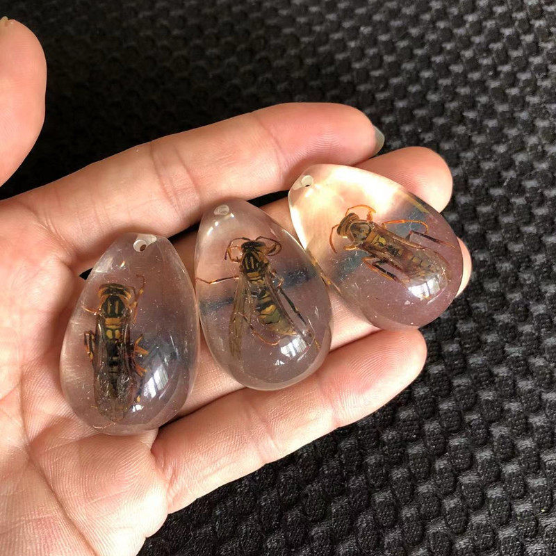 白地の大きいスズメバチ