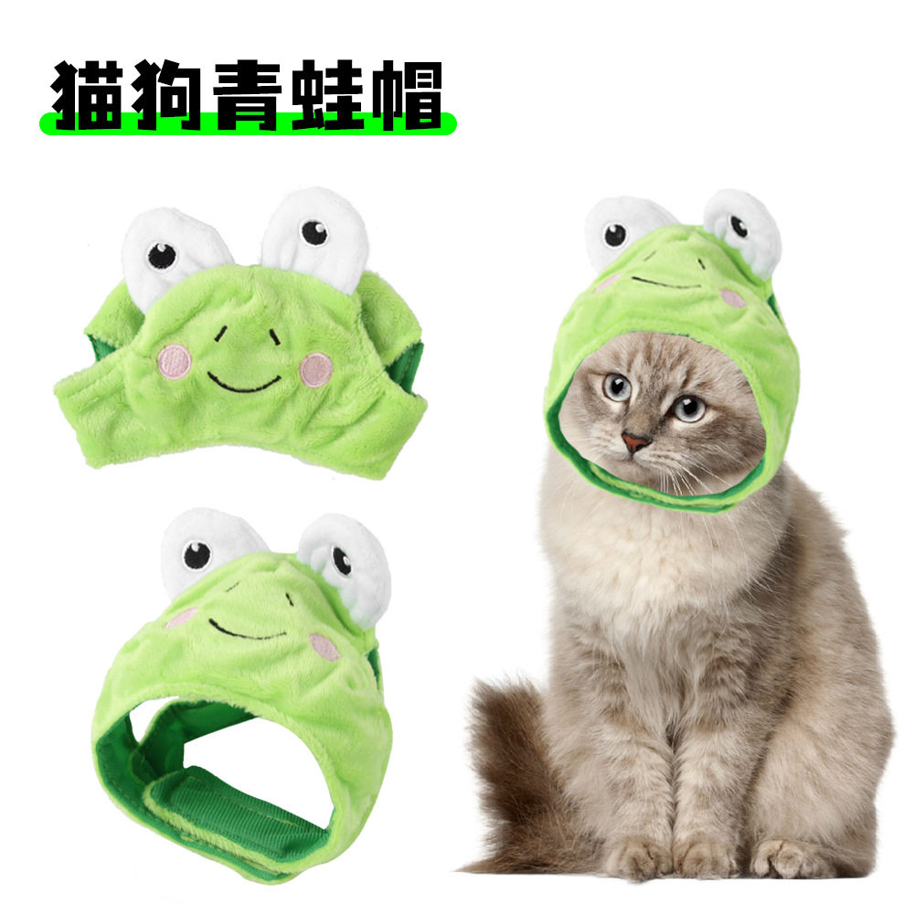 B04418_カエルの帽子