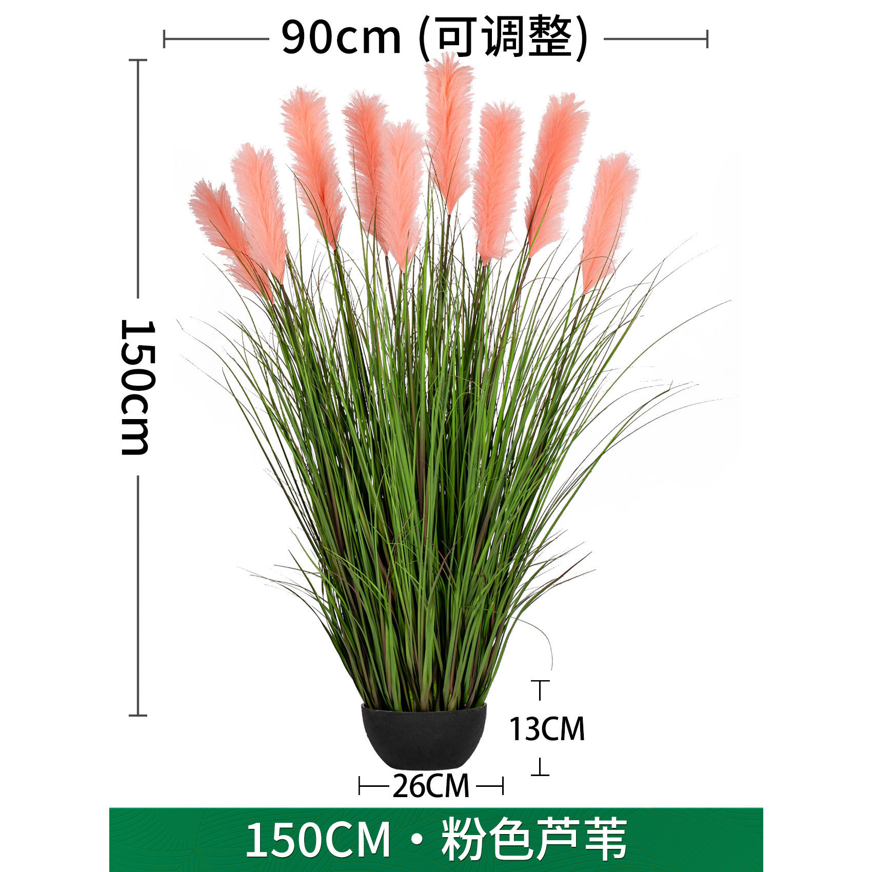 ピンクの葦 9 頭