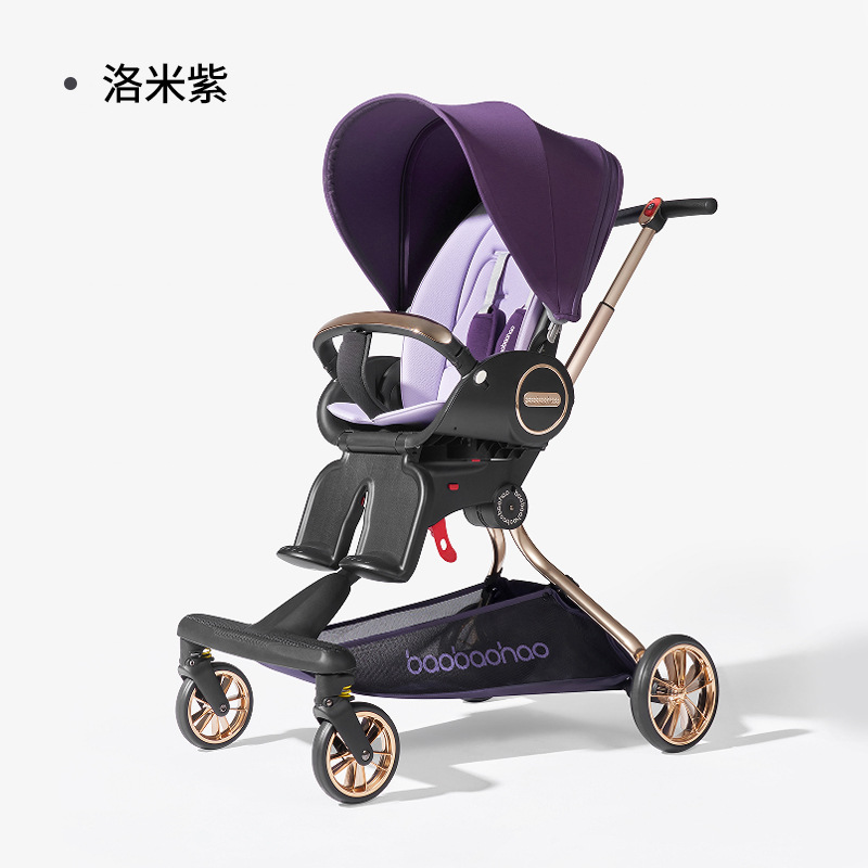 V9-C ロミパープル