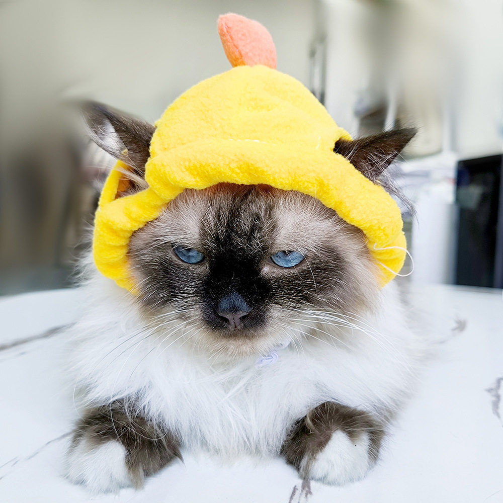 B05310 ひよこ帽子