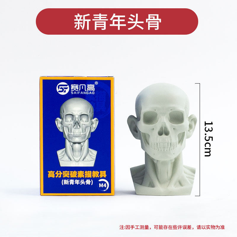 セーファンハイニュ青年頭蓋骨