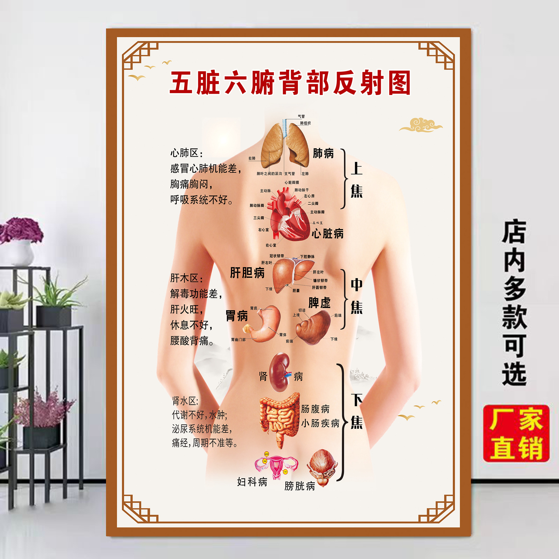 69 内臓の反射画像