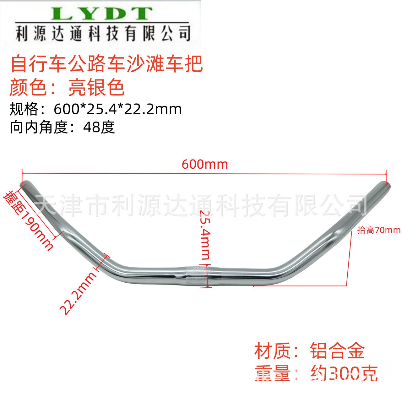 シルバー 600*25.4