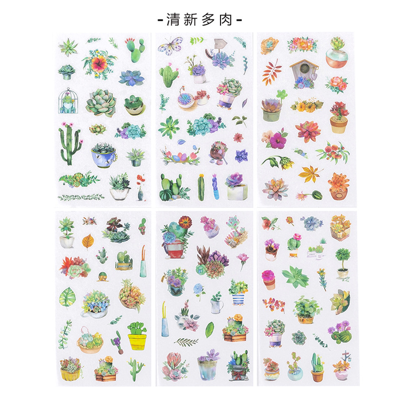 フレッシュ多肉316