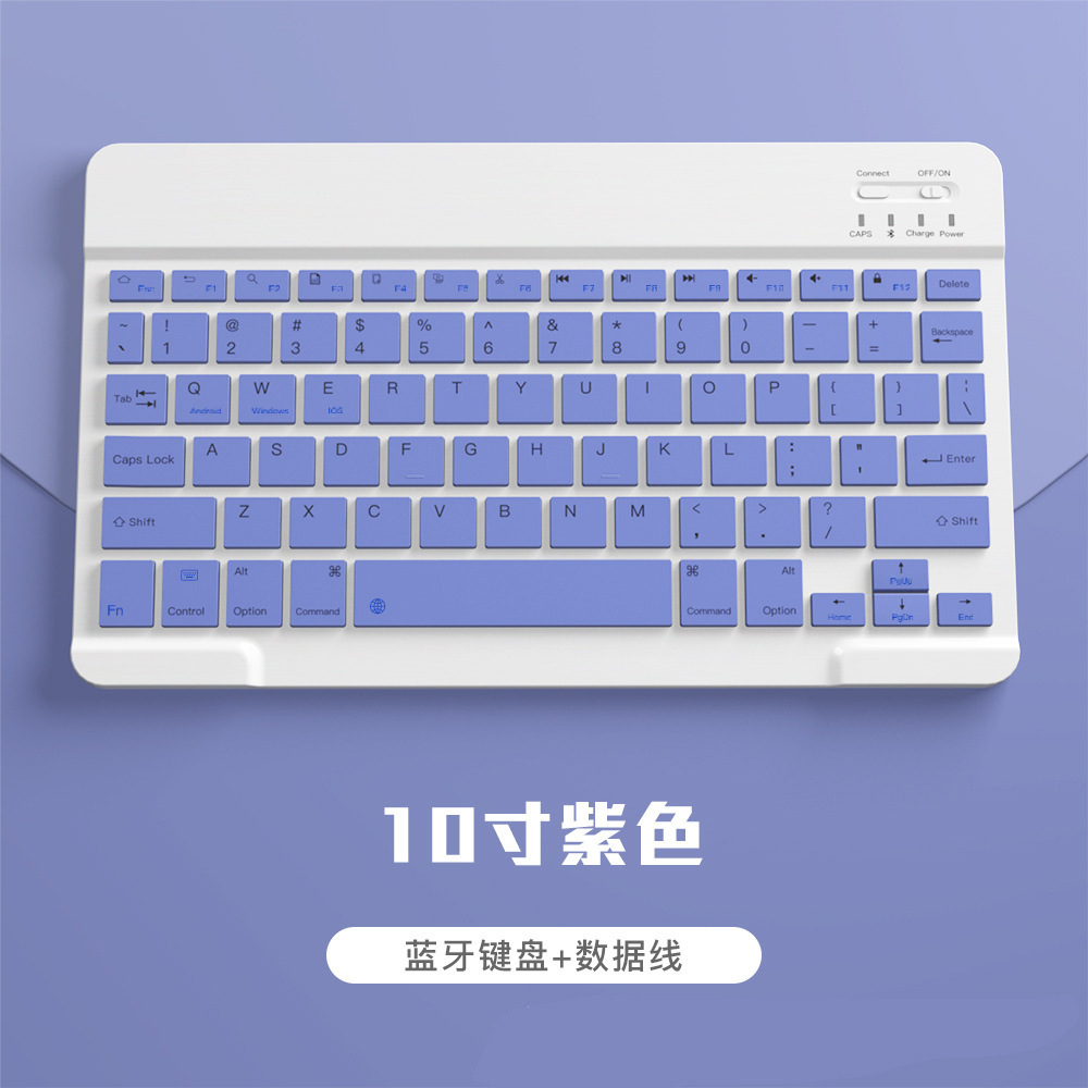 10inch シングルキーボード パープル
