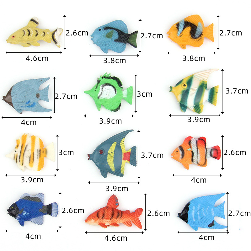小型熱帯魚12匹セット
