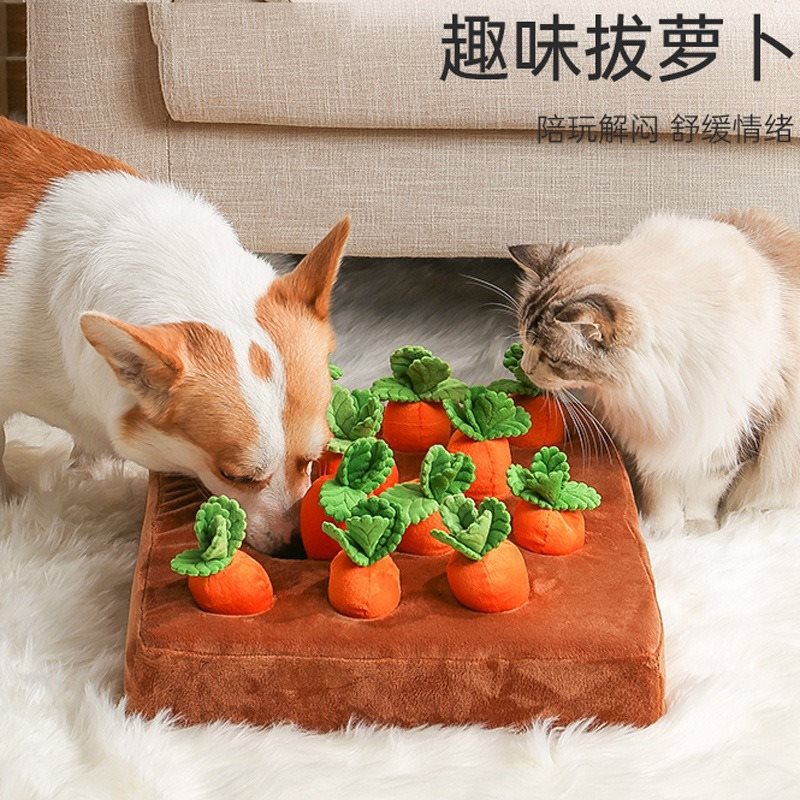 大根を抜く