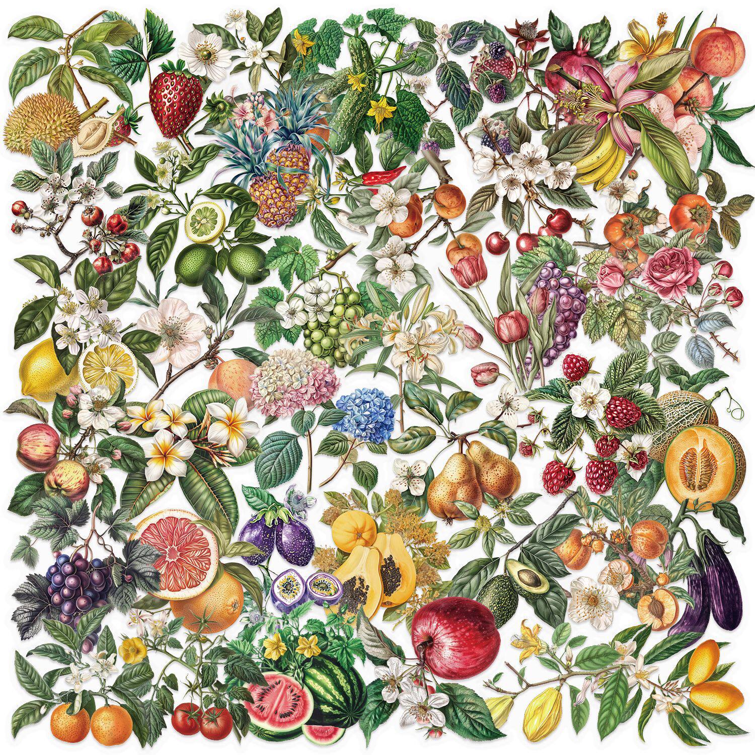 植物と果物の写真 50 枚 SLP086