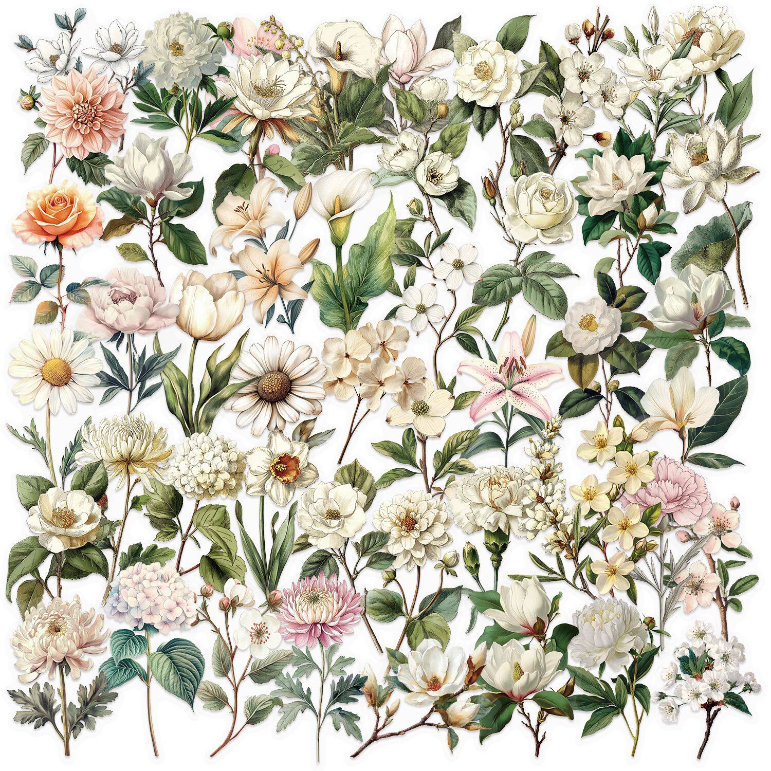 レトロな長枝の花 50枚 SLP153