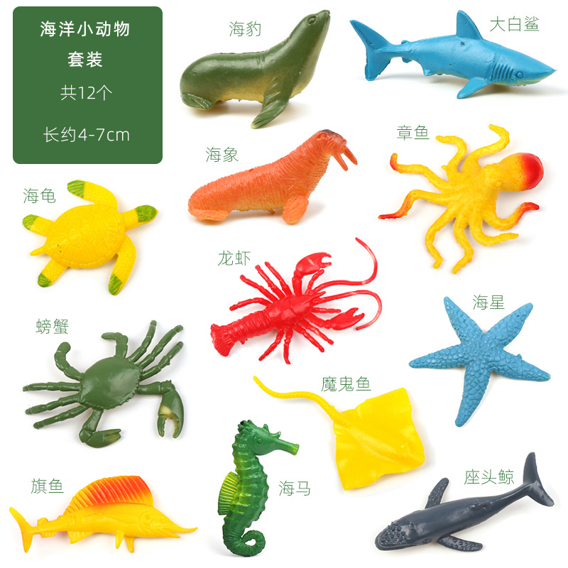 小さな海のスーツ