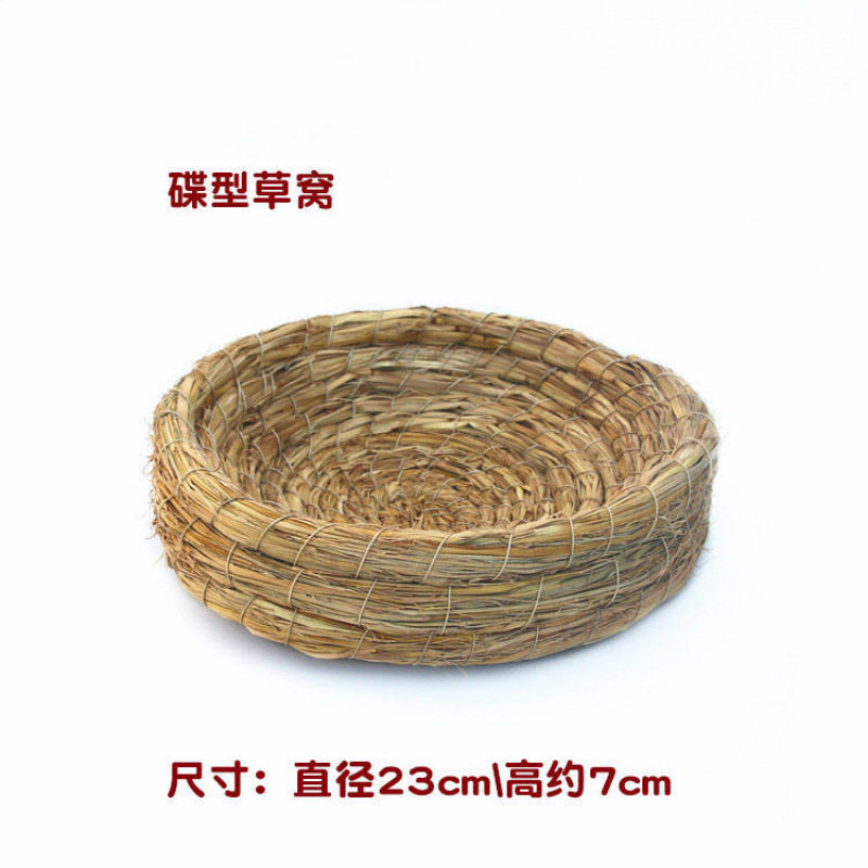 小さな蝶草の巣