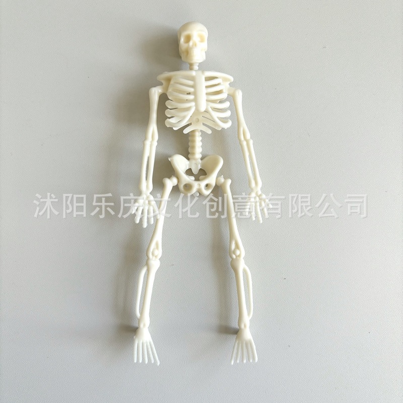 ベージュ白15cm