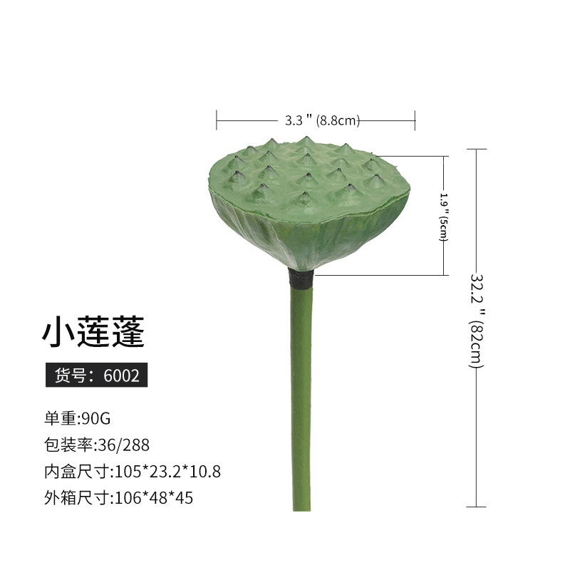 6002小蓮蓬(288枝から予約)