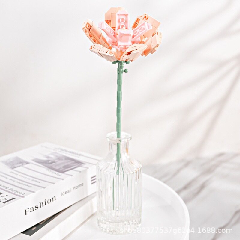 JK26381 リンキョウ(シャンパンオレンジ)