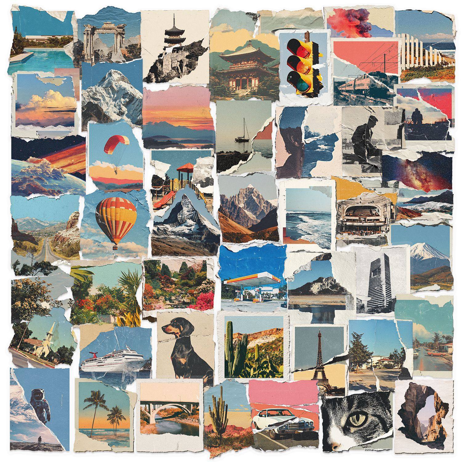 50枚の破れた写真 SLP163