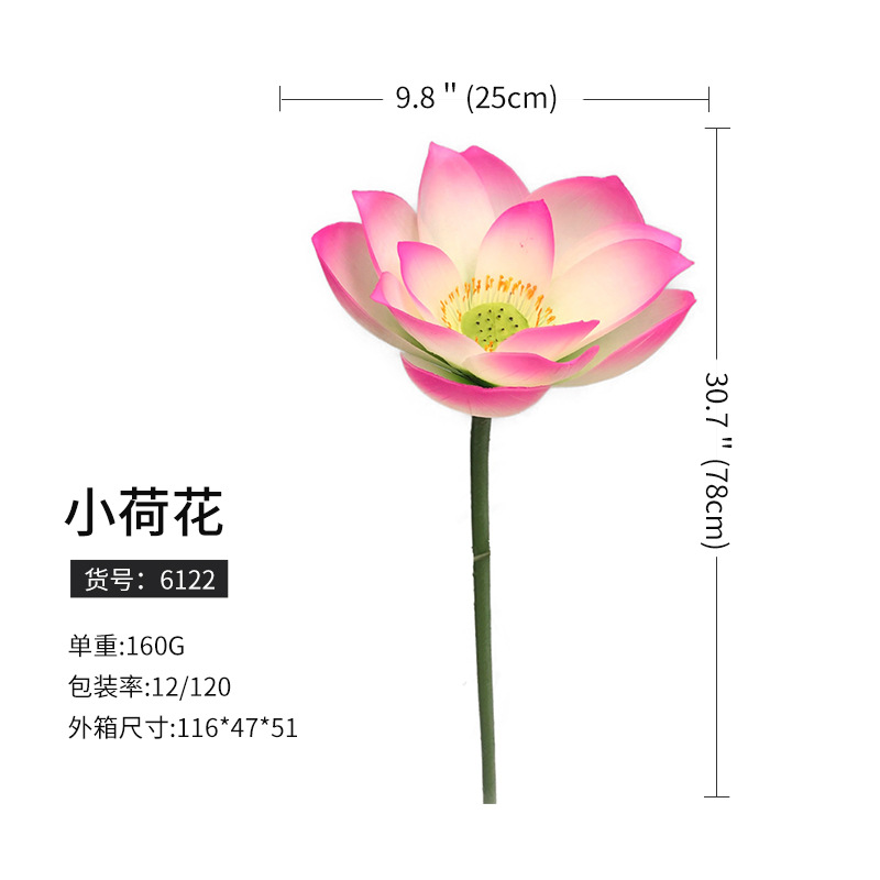 6122ハスの花(120枝から予約)