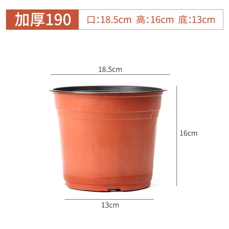 厚みのある190