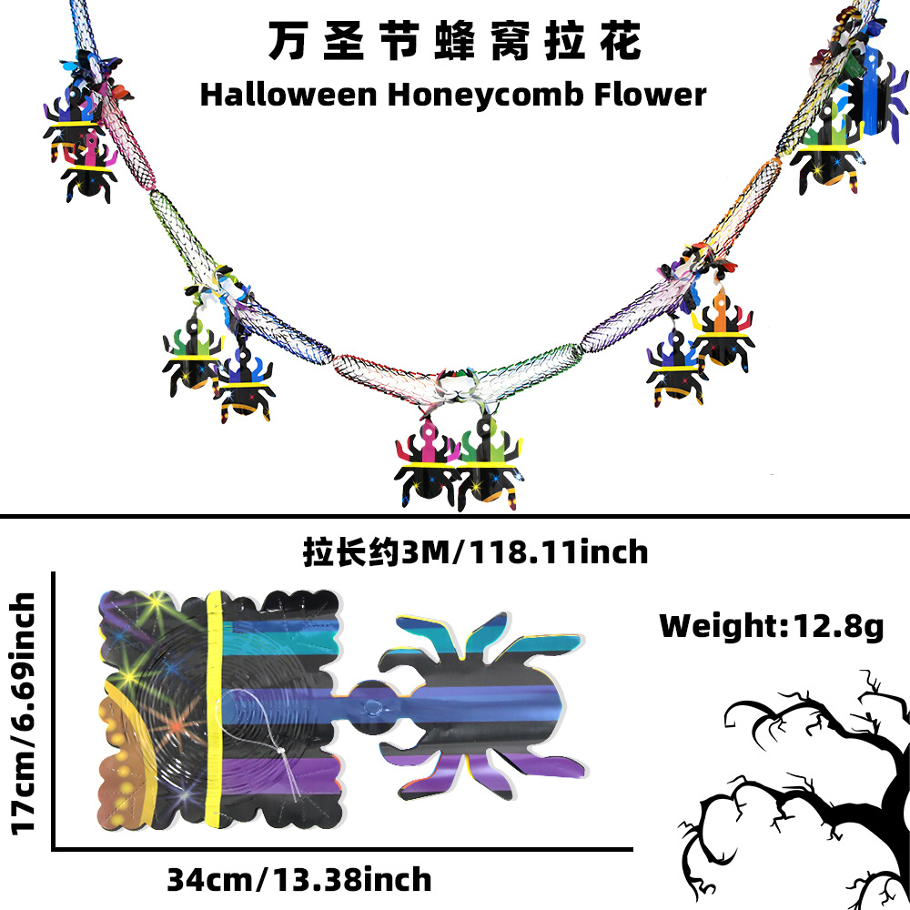 彩色蜘蛛の巣引き花