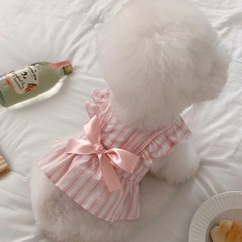 オリパウダー