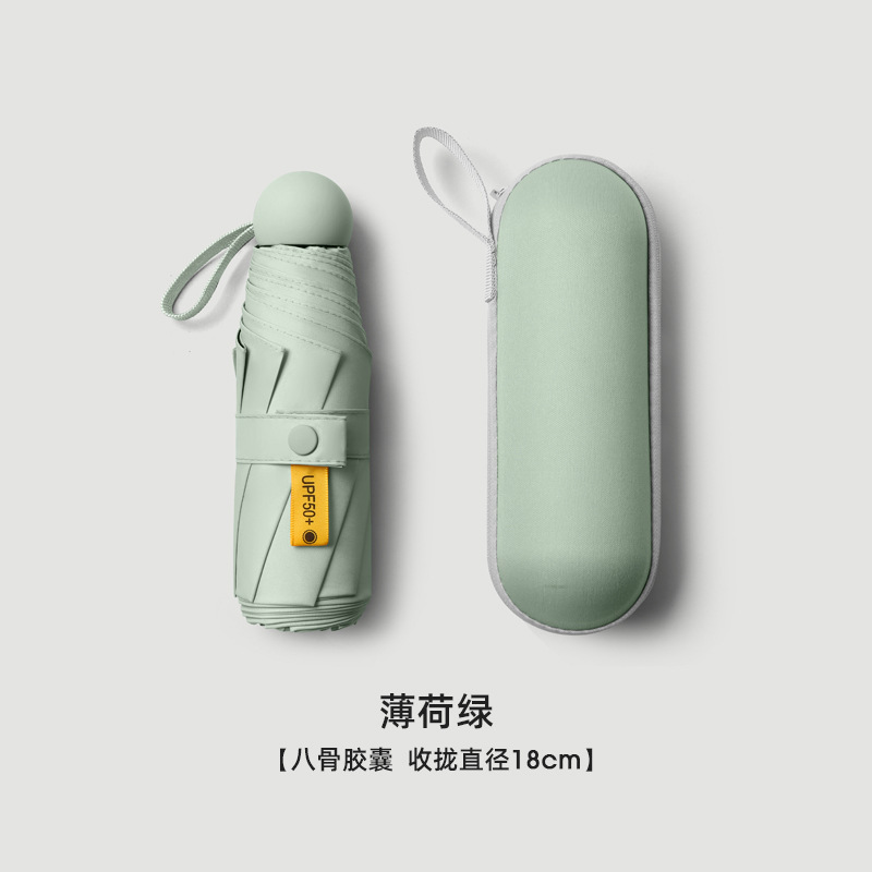 42% off ボーン ベルト ボックス - ミント グリーン
