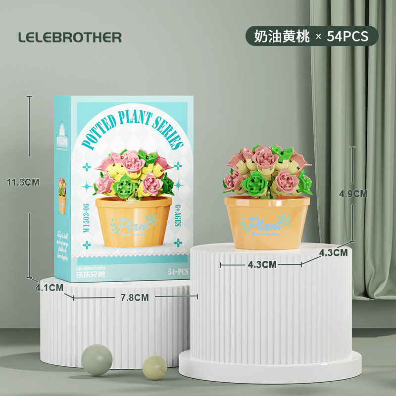 【多肉鉢植え～クリーム黄桃】カラーボックス