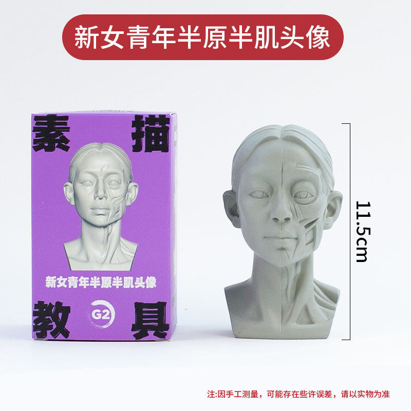 G2 新しい若い女性の半原半筋肉