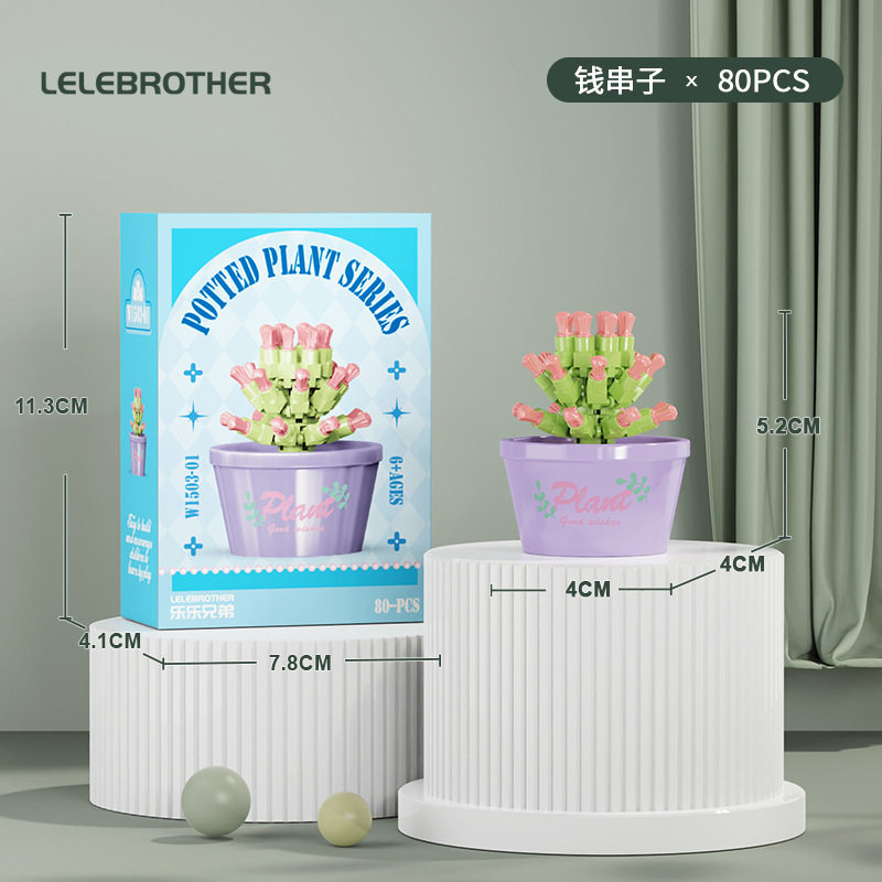 【多肉鉢植え・金の紐】カラーボックス