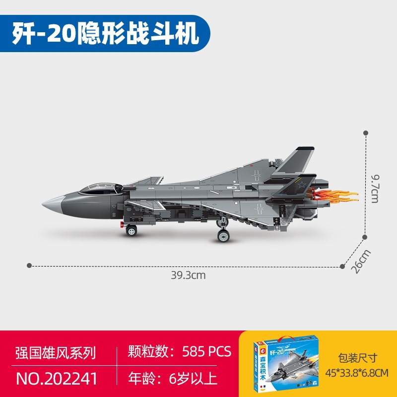 森宝202241殲20ステルス戦闘機