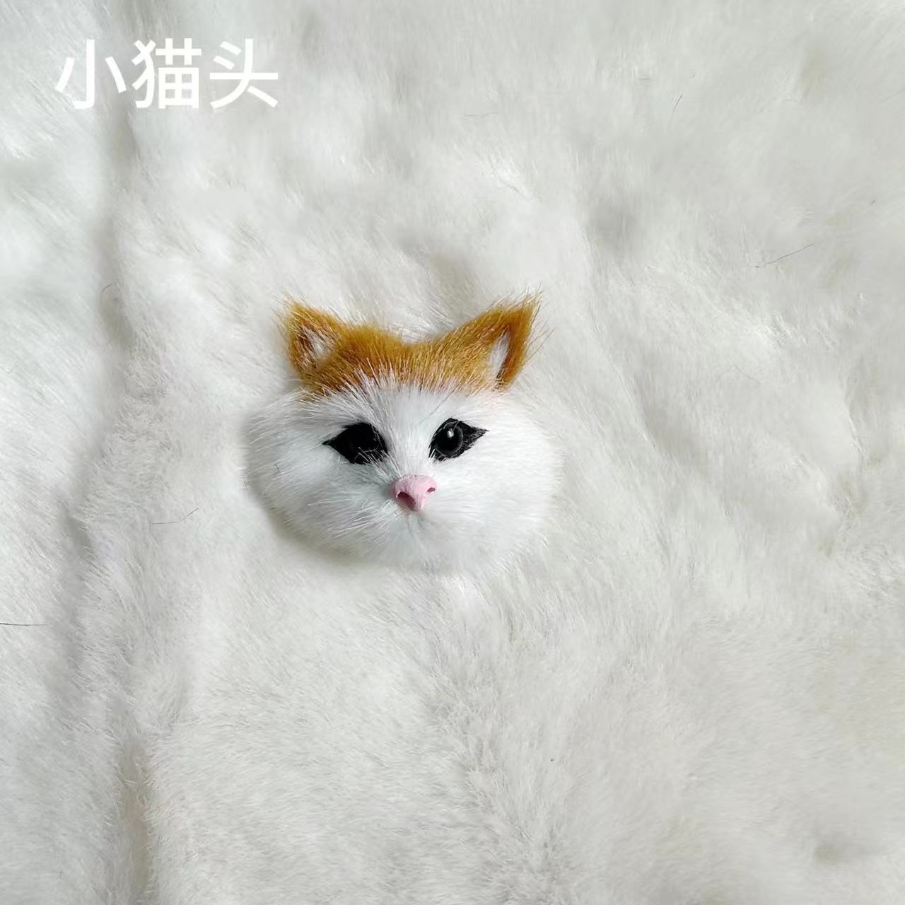 黄色い耳の猫の頭