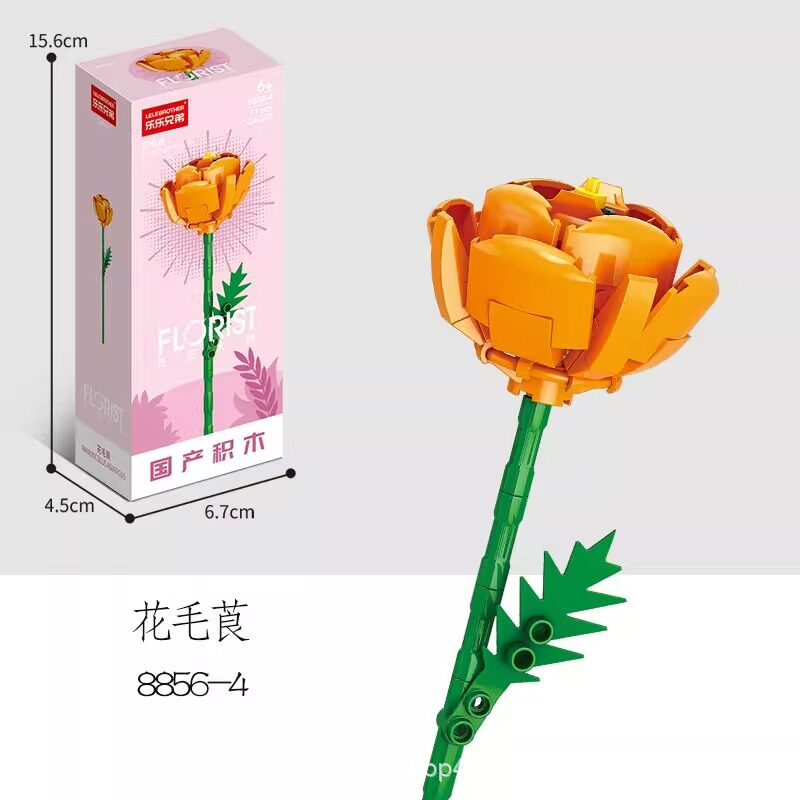 8856-4 マウンテンデイジー