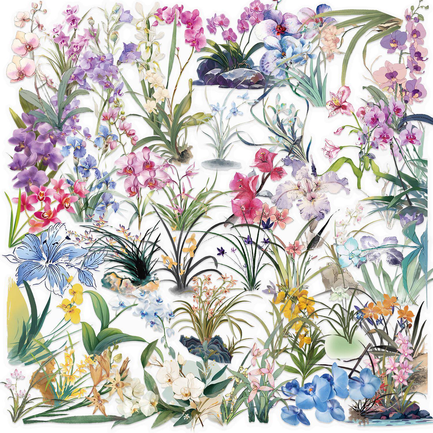 50 オーキッド SLP111