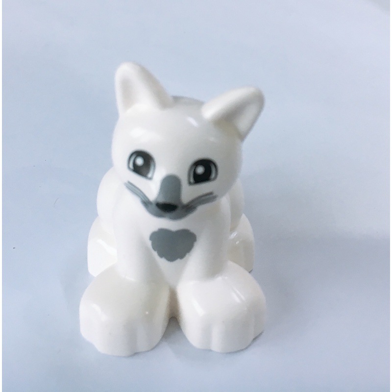 Kitty