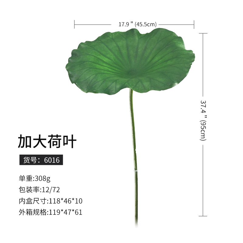 6016ハスの葉を大きくする (72枝から注文)