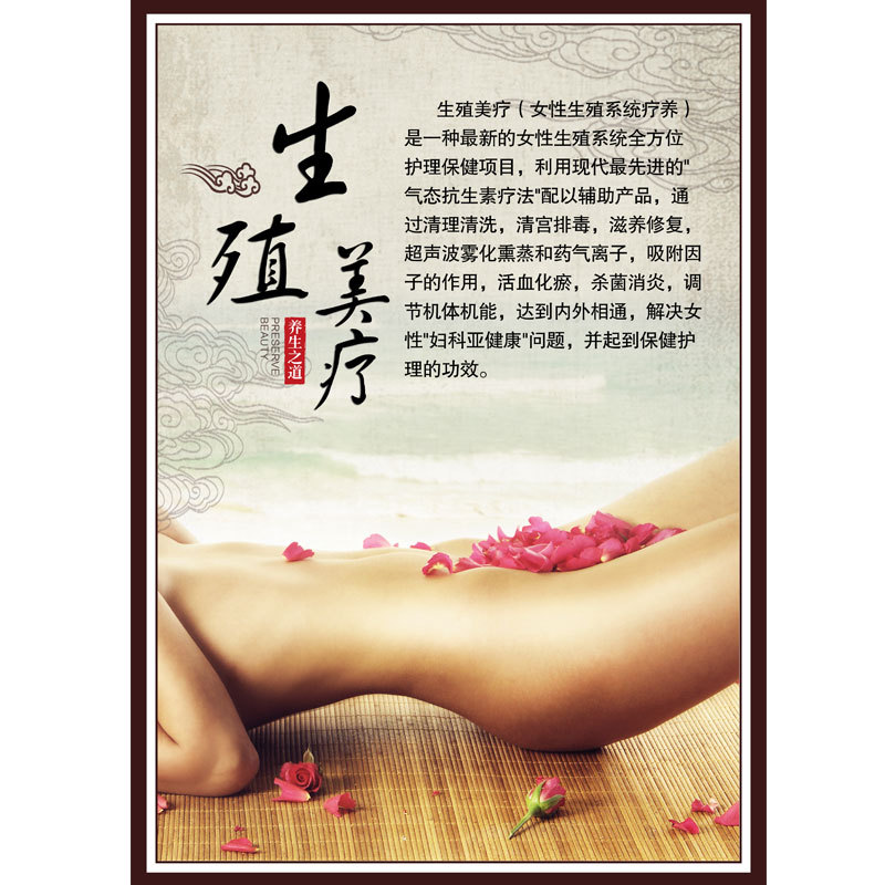 019 生殖美容療法