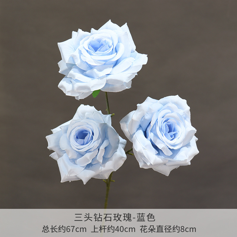 青い三頭ダイヤモンドのバラ