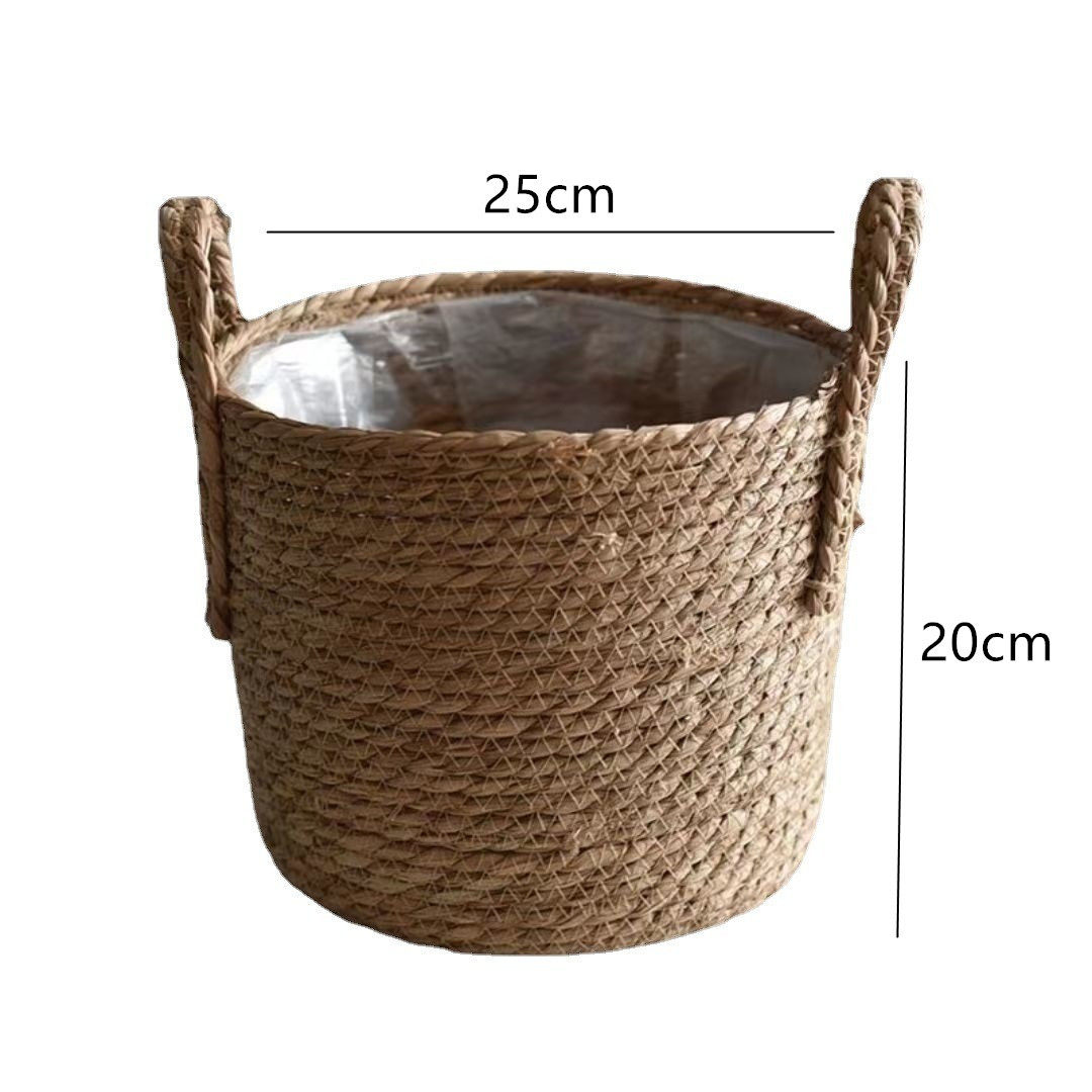 ポプラグラスカラー 25CM