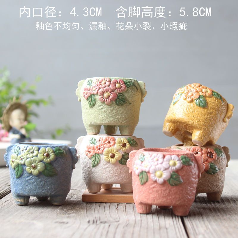 ランダムな耳付き菊 3 個✦