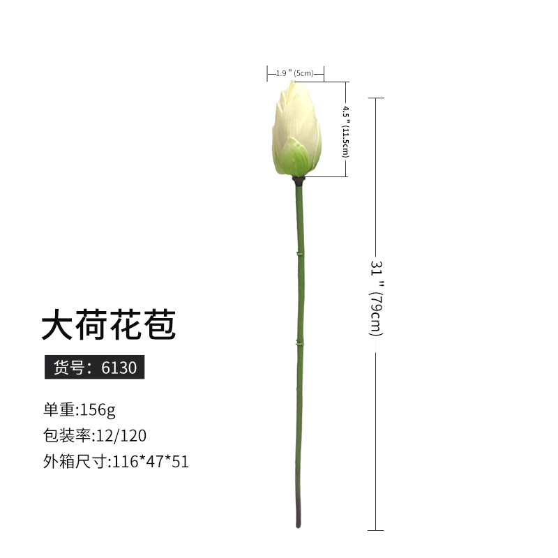 6130大ハスの花のつぼみ (120枝から予約)