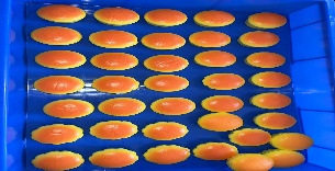 5cm小さな濡れたソフトパン